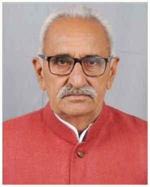 Hameer Singh Bhayal Biography.jpg