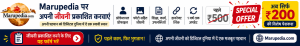 MaruPedia ads005.png