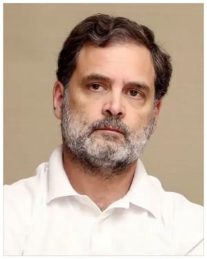 Rahul Gandhi Biography.jpg
